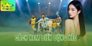 cách xem biến động kèo