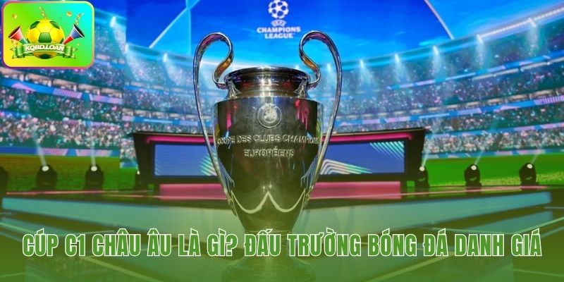 Hình minh họa bóng đá Cúp C1 châu Âu 1