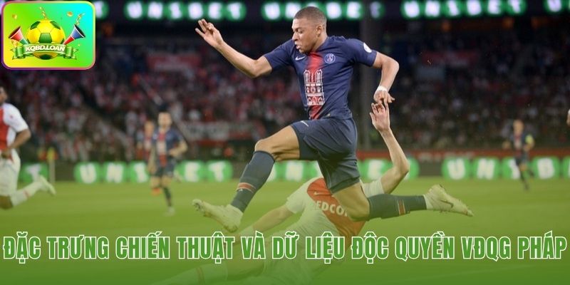 Hình minh họa bóng đá Pháp 2