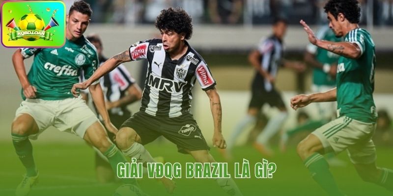 Hình minh họa bóng đá Brazil 1