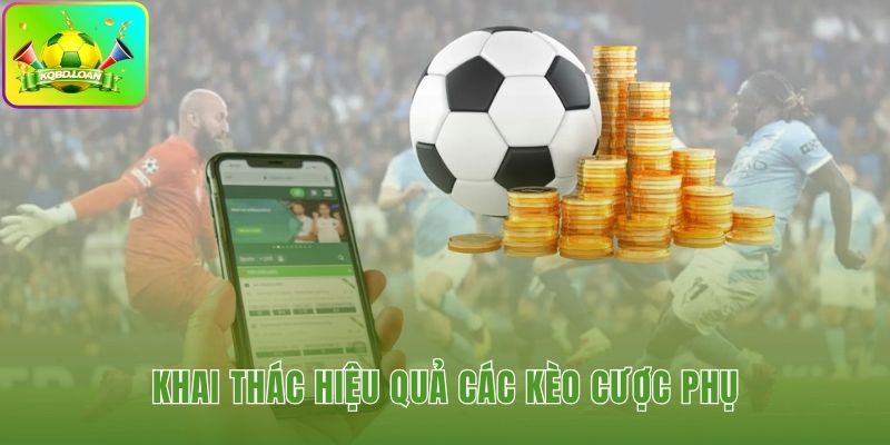 Hình minh họa bóng đá Indonesia 3