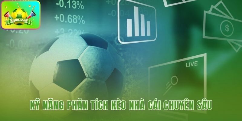 Sự tương quan giữa kèo Á và Âu hé lộ các tín hiệu sâu