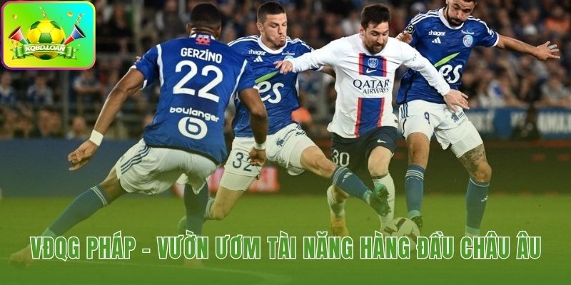 Hình minh họa bóng đá Pháp 3